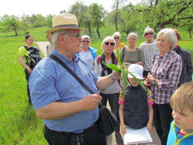 Kruterwanderung Kindergeburtstag 031