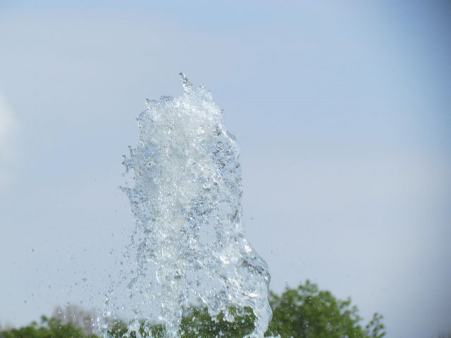 016