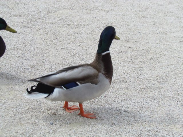 045