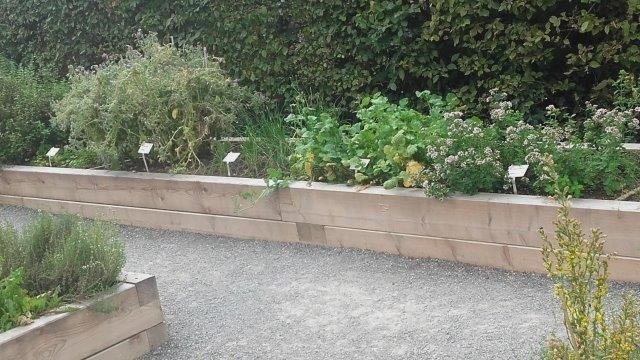 Landesgartenschau-2017-LandFrauen-177