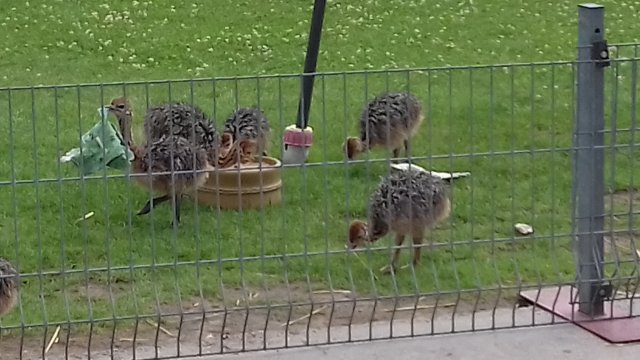 Ausflug Karlsruhe