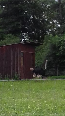 Ausflug Karlsruhe