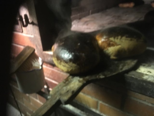 08_IMG_1745