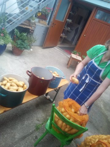 Backhausfest